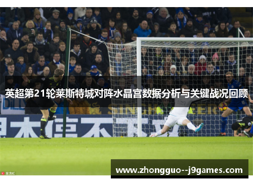 英超第21轮莱斯特城对阵水晶宫数据分析与关键战况回顾 英超第21轮莱斯特城对阵水晶宫数据分析与关键战况回顾