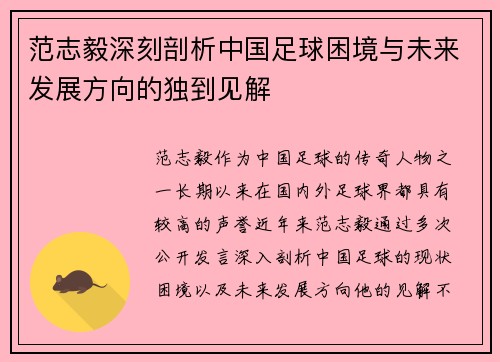范志毅深刻剖析中国足球困境与未来发展方向的独到见解 范志毅深刻剖析中国足球困境与未来发展方向的独到见解