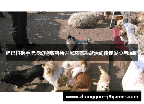 迪巴拉携手流浪动物收容所开展慈善筹款活动传递爱心与温暖