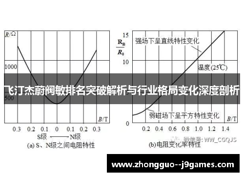 飞汀杰蔚阀敏排名突破解析与行业格局变化深度剖析